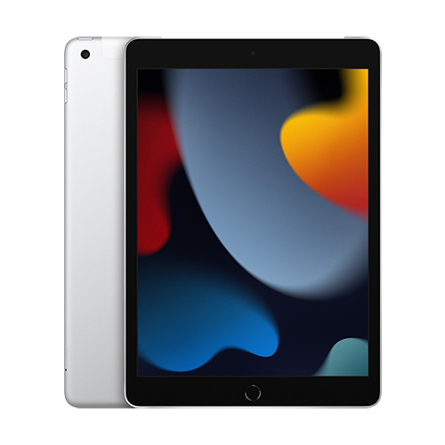 Apple iPad 2021 Wi-Fi + Cellular 256GB silber