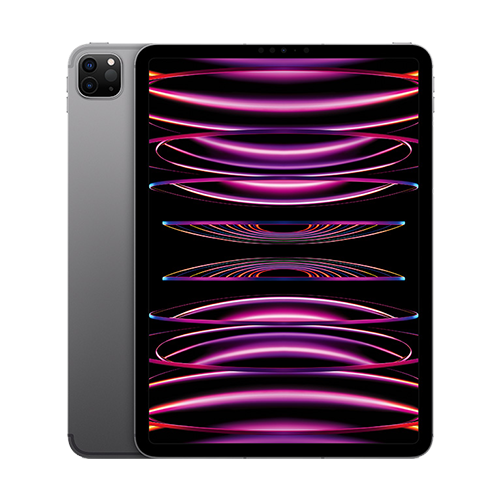 Apple iPad Pro 2022 11" W+C 2TB spacegrau