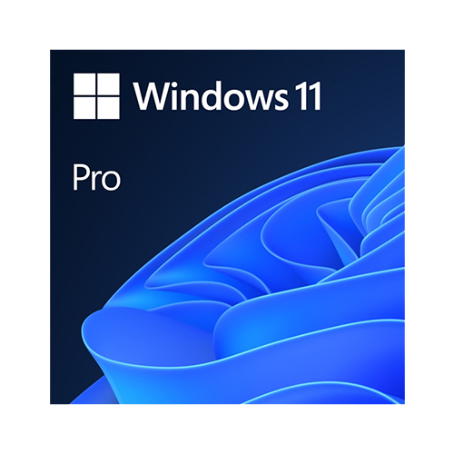 MS Windows 11 Pro 64Bit OEM